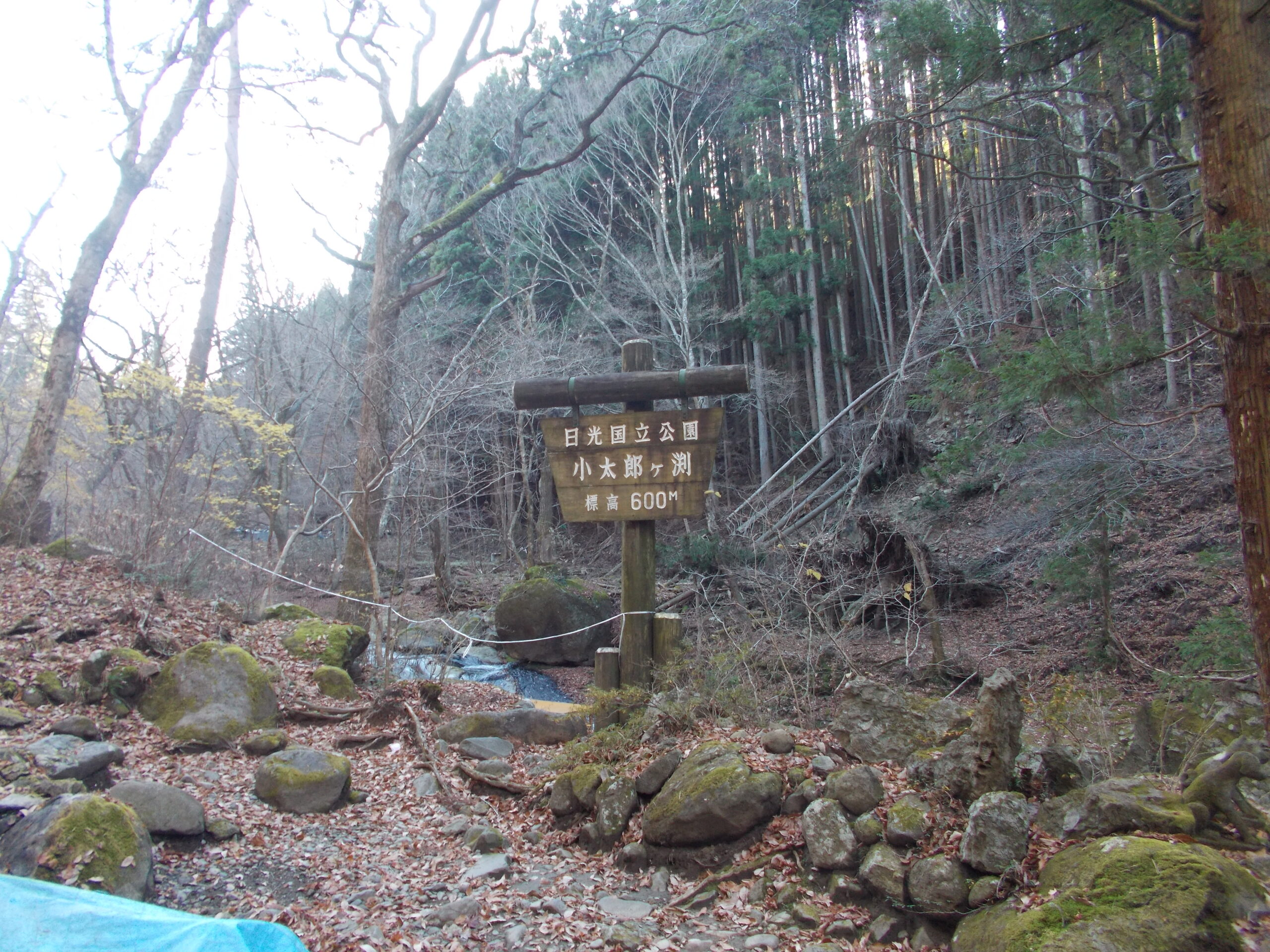 小太郎茶屋こたろうさや- 那須塩原市その他 和菓子食べログ