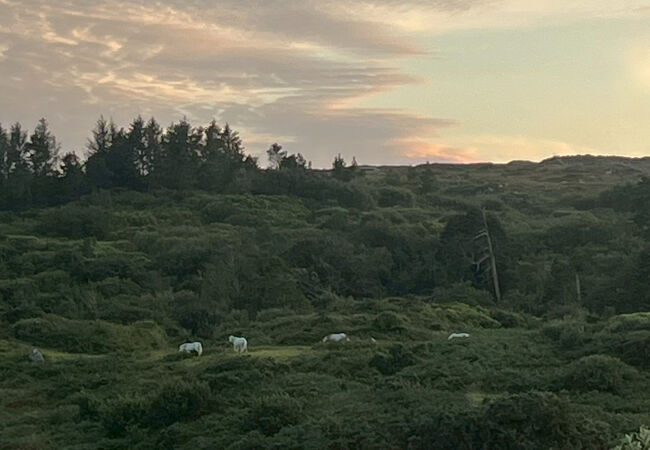 カイルモア修道院カイルモア- ツアーとアクティビティエクスペディア