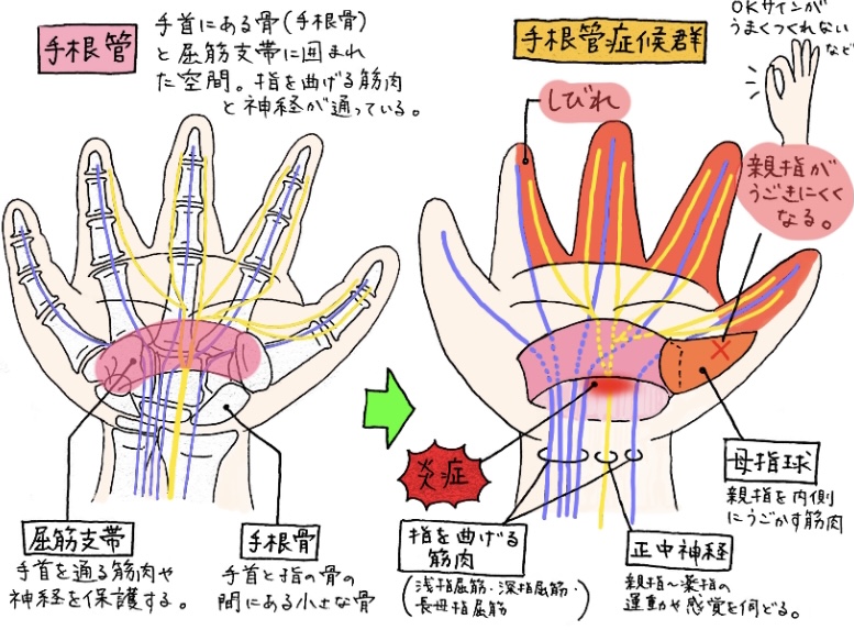 クラブドミナ デリヘルワールド 小夜女王様さんプロフィール