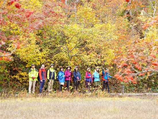 天生峠と天生湿原の紅葉 北アルプスや雲海も楽しめるお手軽トレッキングコースまっさの日々旅人な暮らし
