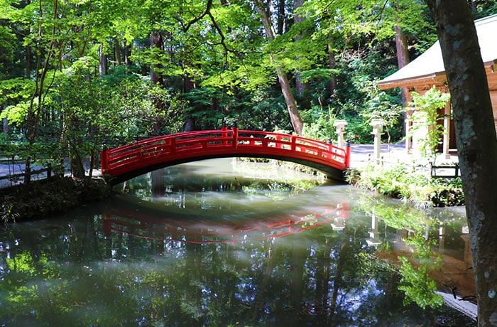 小國神社 鳥居 写真素材4518853- フォトライブラリ