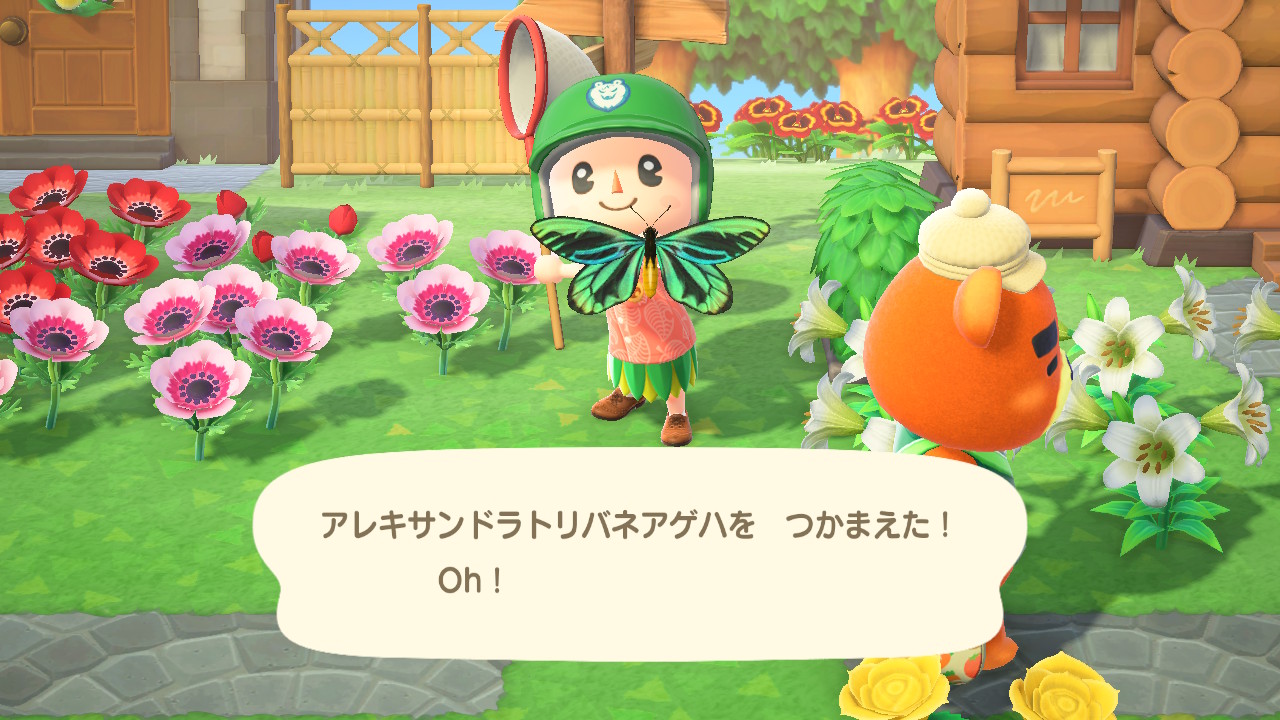 あつまれ どうぶつの森」に隠れた細かすぎる小ネタ集！ -