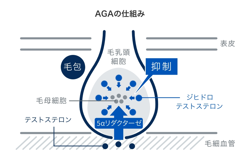 筋トレするとき自慰行為はダメですかね？不貞な質問ですみません【質問回答】