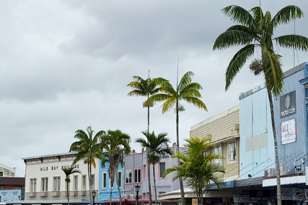 1日 ハワイハワイ観光・オプショナルツアー予約専門 VELTRA