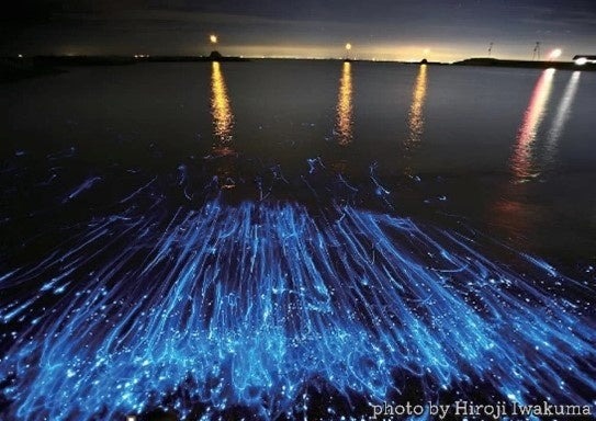 海ほたる 神奈川県 千葉県