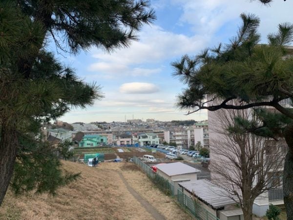 大明王院 川崎本山 (身代り不動尊)