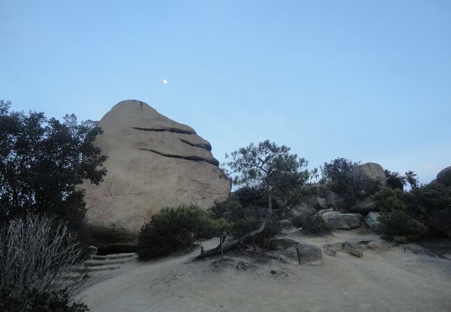 王子が岳②ま～ちゃんの山歩き