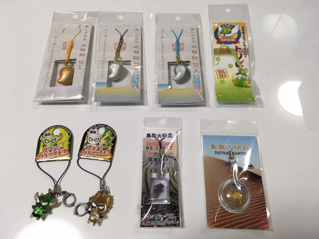 ショップ鳥取砂丘砂丘センター 見晴らしの丘