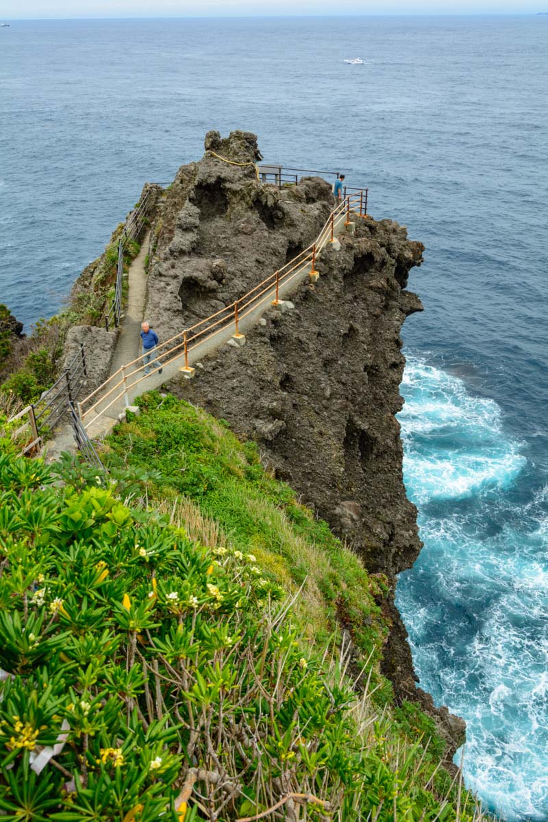 石廊崎オーシャンパーク・石室神社 - あの人が語る伊豆の魅力「いずみーる」