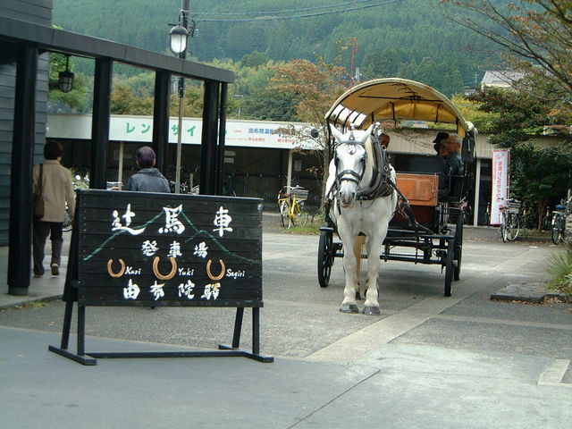 人気の観光辻馬車で巡る由布院の旅🐴 冬季の休業を終えて 3月2日から観光辻馬車の運行再開🙋‍♀️ 由布院駅前を出発し 町中からちょっと外れて🏞️由布岳やのどかな里山風景を眺めながら