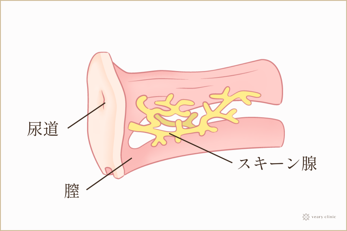 ポルチオセックスのやり方！ ポルチオ開発で奥イキするコツ※体験談あり | シンデレラグループ公式サイト