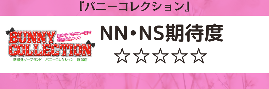 新潟ソープおすすめランキング9選。NN/NS可能な人気店の口コミ＆総額は？ | メンズエログ