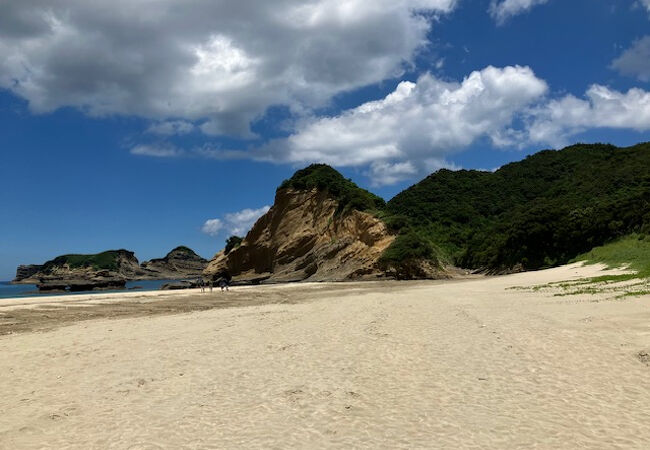 白浜海水浴場の駐車場は？～伊豆下田白浜海岸・ビーチ情報