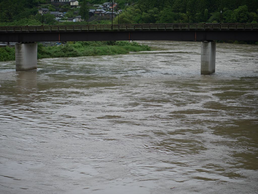 吉野川の美鮎「おいやん」の鮎掛け - 楽天ブログ