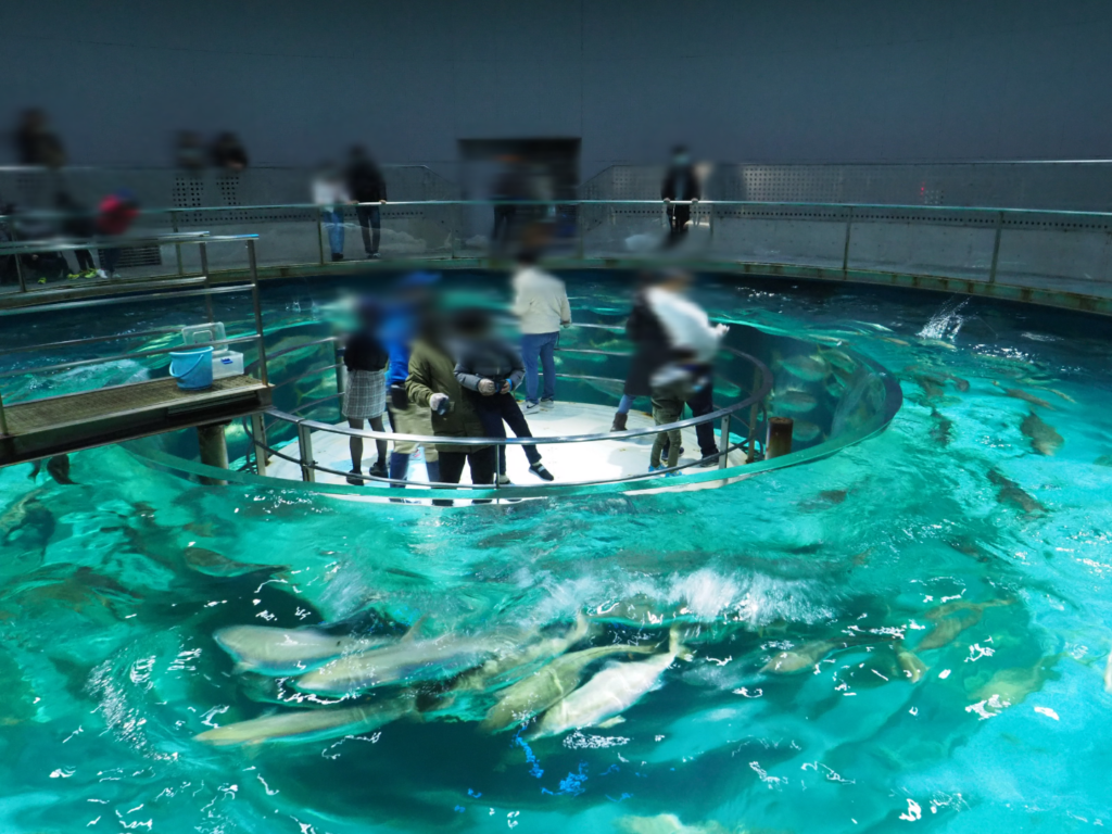 城崎マリンワールド実績紹介鴻池組