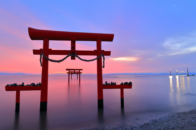 おしゃれスポットがたくさん！佐賀市で春の女子旅♪九州への旅行や観光情報は九州旅ネット