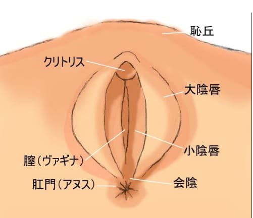 アナルセックスってどうなの？ 経験者に聞いてみた