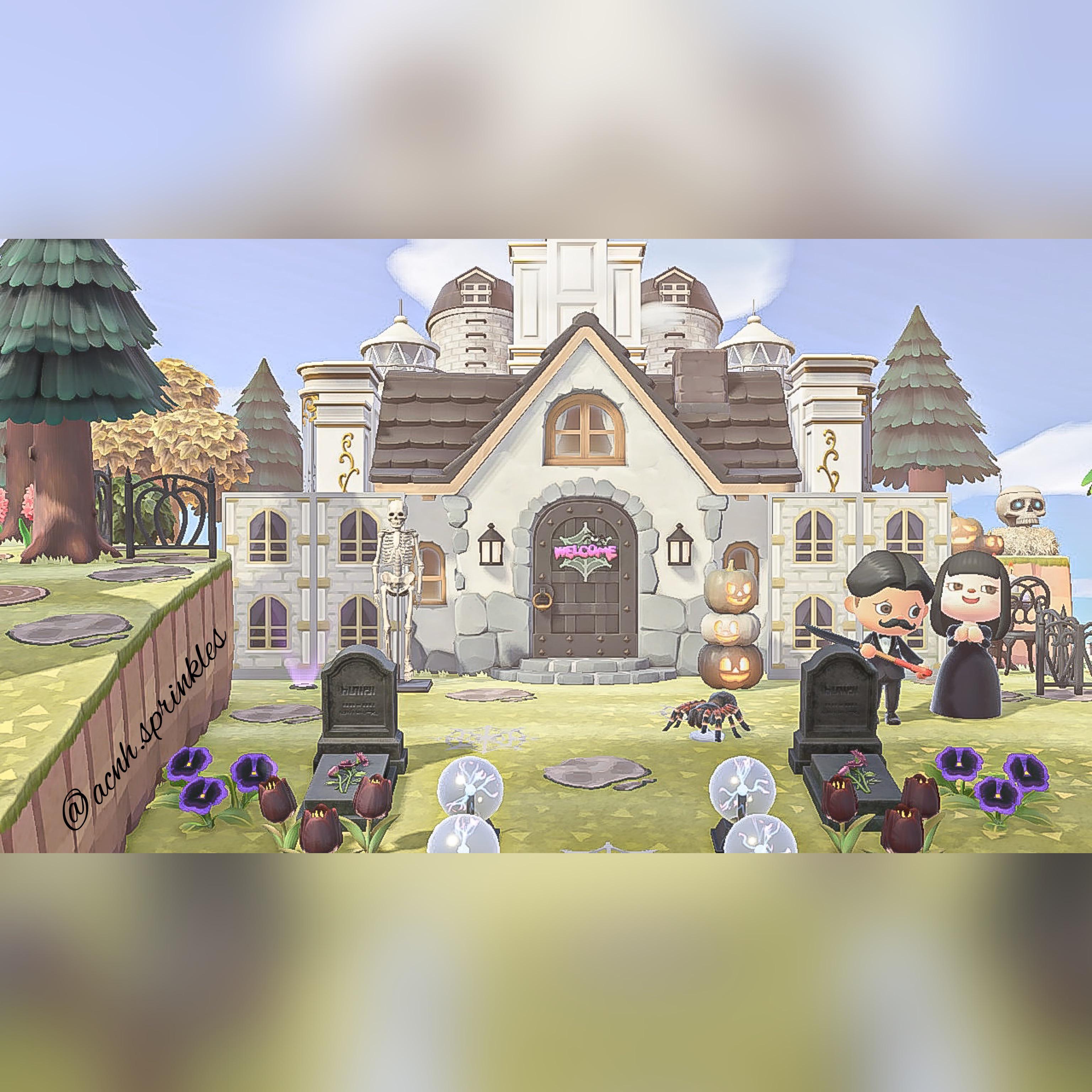 あつ森 2025年版 ゴメスの誕生日と性格