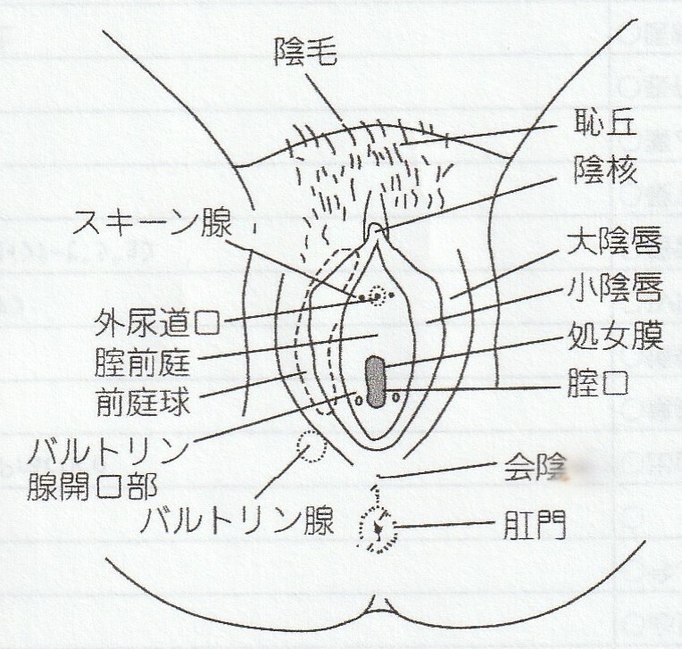 愛は永遠のブランド』Gスポットジェル！完売のお礼。 | ORGANICコスメ社長の「男と女の幸せのレシピ」