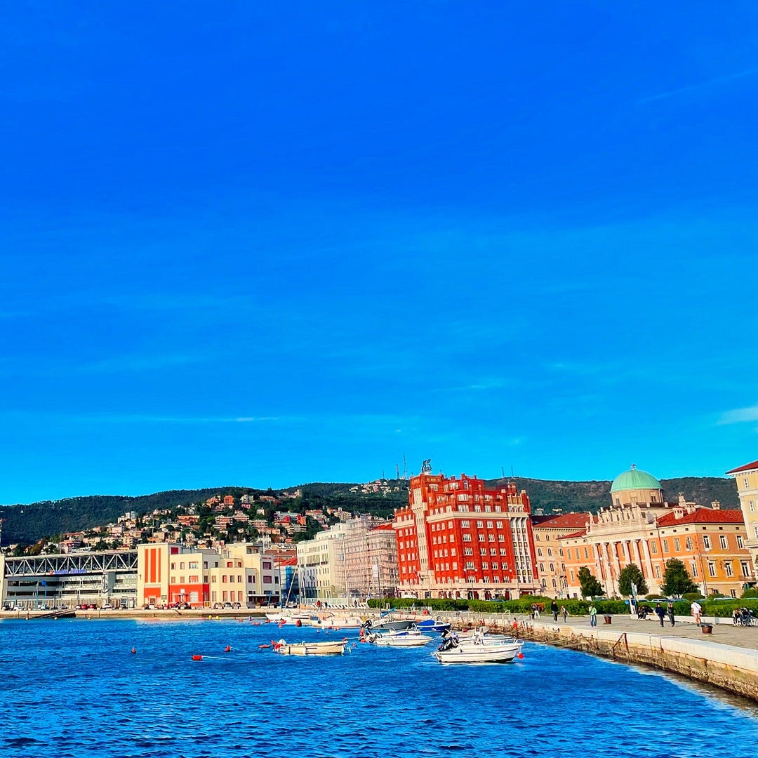 絵画 ネコとヨーロッパの港町 アート・写真