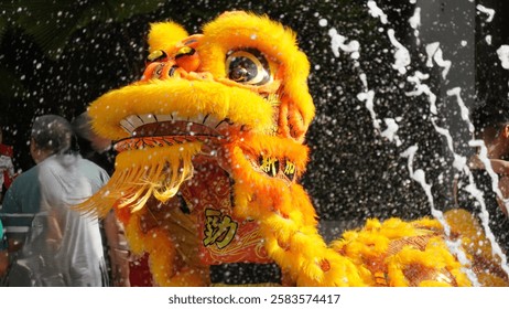 獅子舞衣装 9インチ ライオンダンスヘッドパフォーマンス