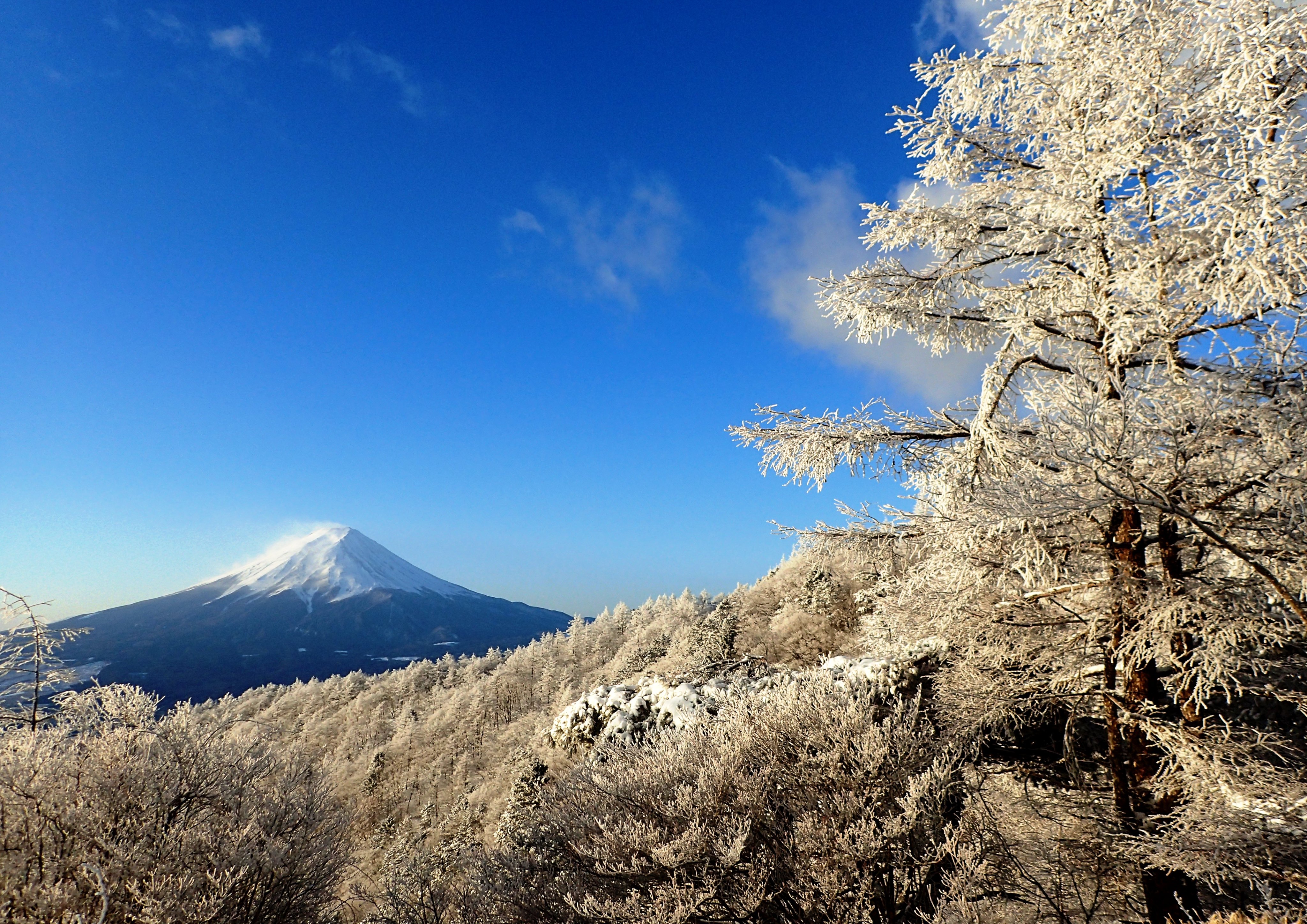 開山期以外の富士山安全・リスク情報富士登山オフィシャルサイト