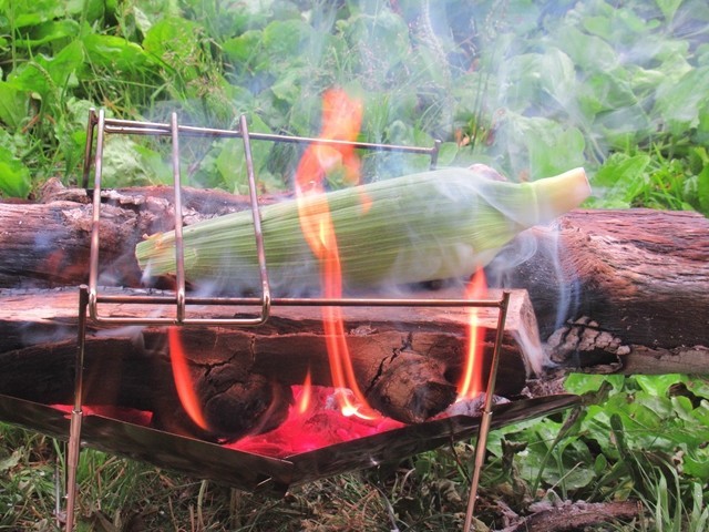 焼きトウモロコシの一番おいしい焼き方は？！徹底検証してみた！ - こいしゆうかのキャンプde遊び隊HondaキャンプHonda公式サイト