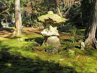 人気観光スポット「三千院」の見どころ美しく苔むした庭園THE THOUSAND KYOTO