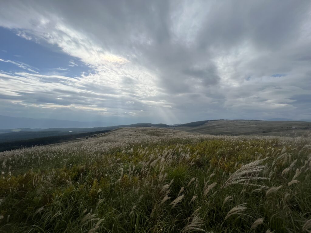 ガボッチョ！T-Blog