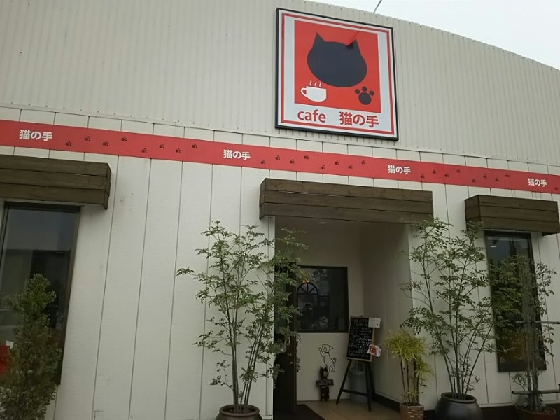 石化シノブ【猫の手】入荷 南坊園一宮市 :