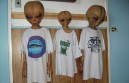 3m超の生き物がこちらを見ている 」米ラスベガスの住宅にUFO墜落？ 宇宙人騒ぎと深まる謎Pen Online