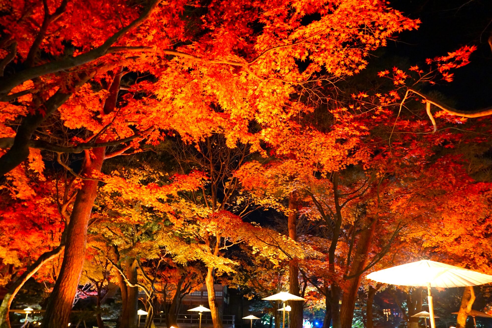 島根県観光！足立美術館から出雲大社の絶景スポットドライブ旅行