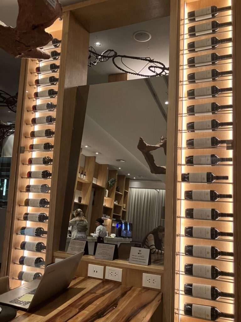 羽田→パリ→ブエノスアイレス・南米1日目2023年1月31日 - A