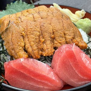 宮城観光1泊2日 まるで海鮮テーマパークな市場で爆食。ネコが経営するホテルに癒される旅