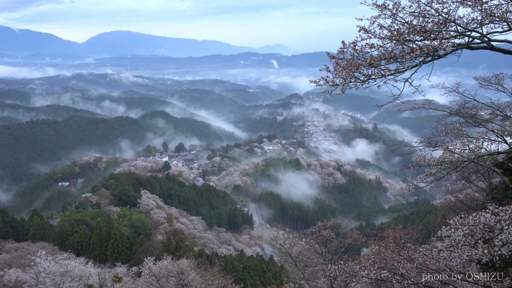 額田山展望台の夜景大阪府東大阪市-こよなく夜景を愛する人へ