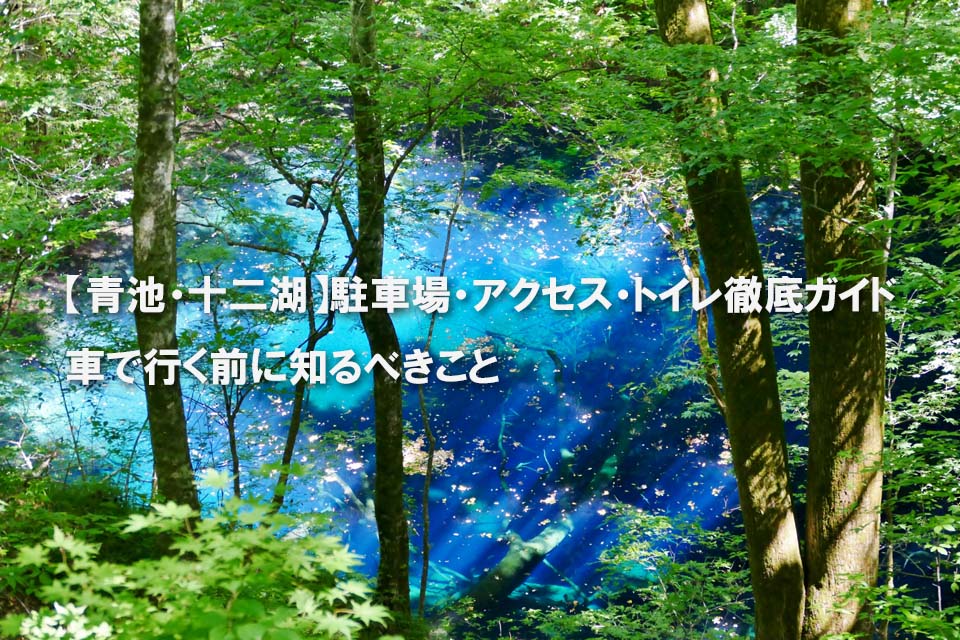 青池 の周辺スポット・アクセス・口コミ -