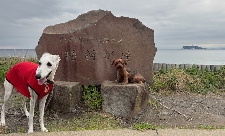 極楽寺駅から七里ガ浜へ 極楽寺坂周辺をめぐる
