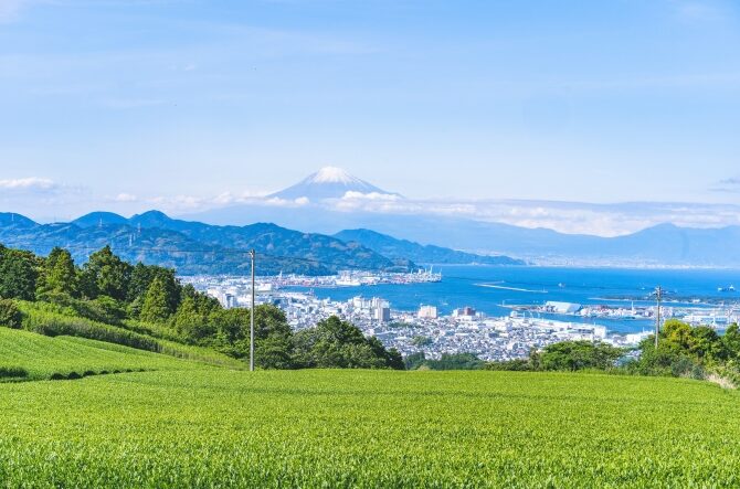 関東 ゴールデンウィークにおすすめの穴場スポット24選びゅうトラベル JR東日本