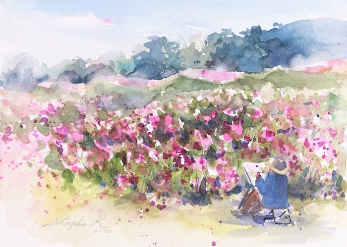 2023 コスモスの里 穂谷 11月上旬まで一般公開まいぷれ事務局