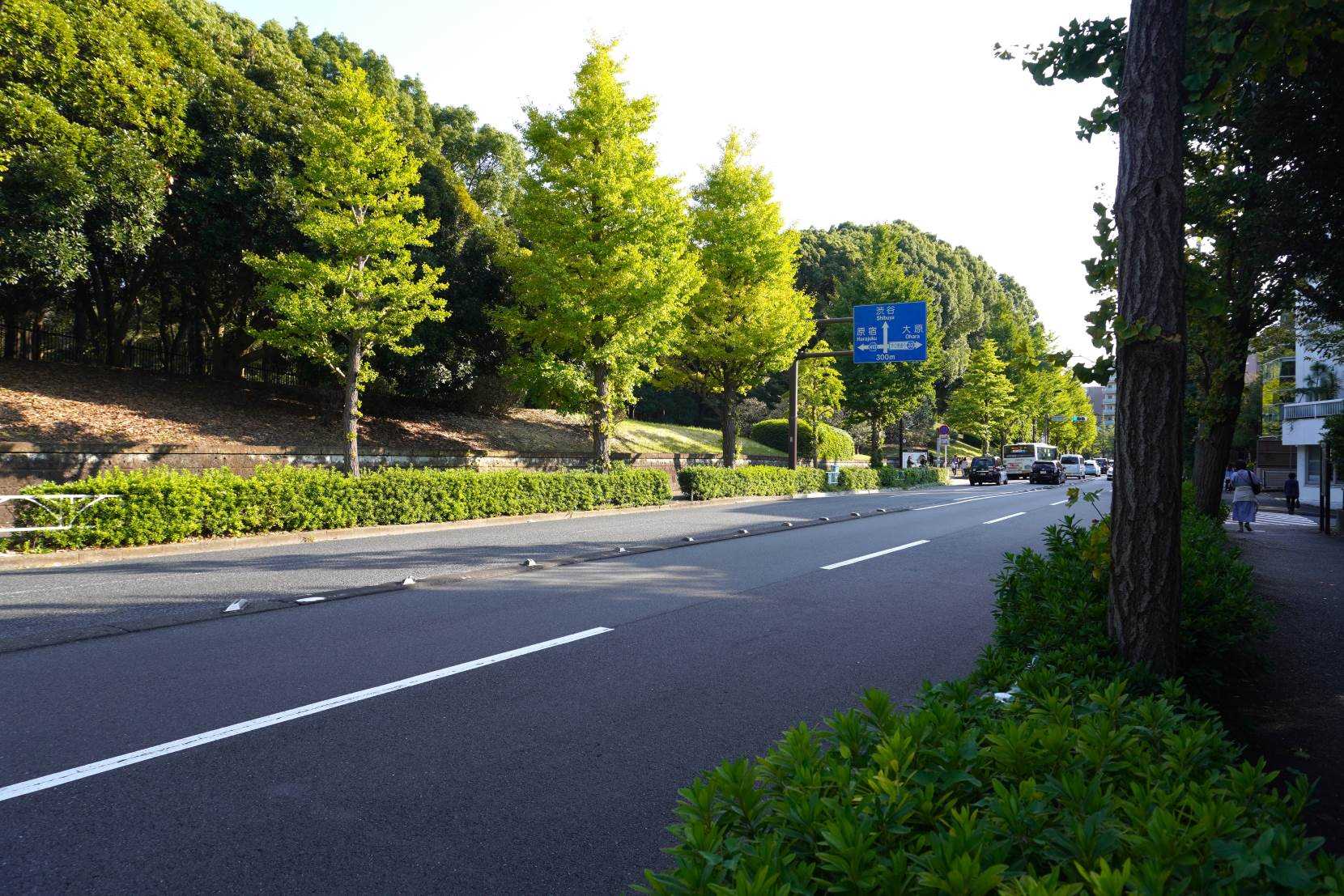 代々木上原・代々木公園エリアの資産性の高いマンションや住みやすさ・人気の理由を解説！ -東京都内の高級中古マンション リノベーションマンションの購入なら mitaina ミタイナ