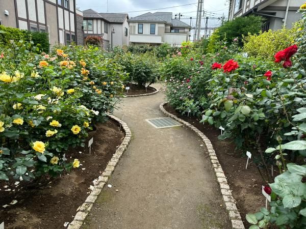 7/23（木・祝）芳香蒸留水を知り、ローズやラベンダーを実際に蒸留し、日常での活用法を習得するワークショップ（西東京市） in東京 - パスマーケット