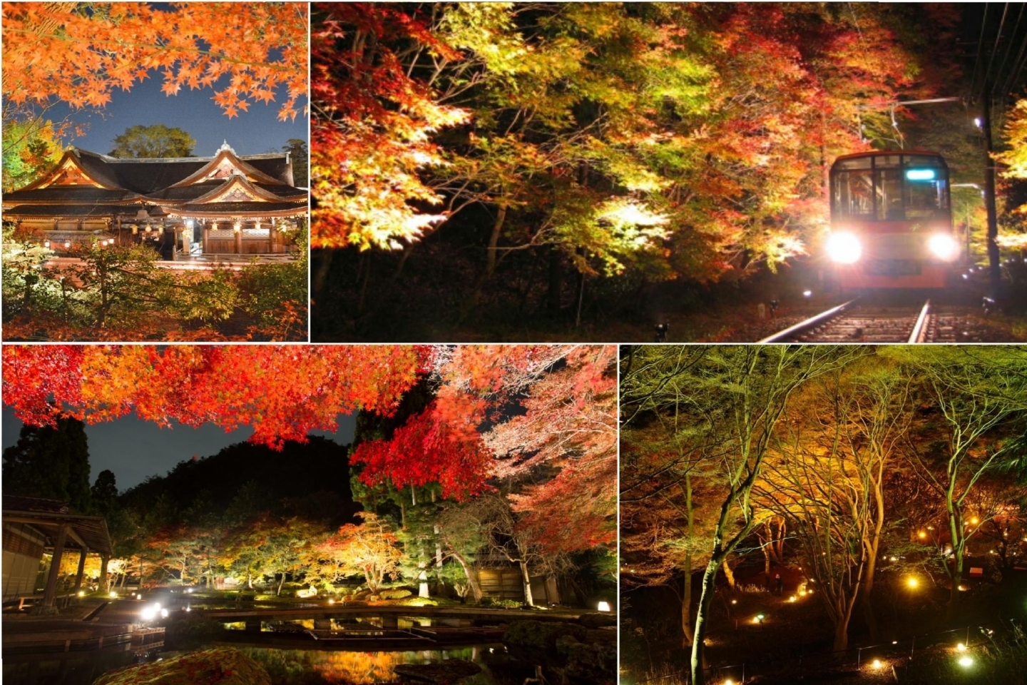 1人で吉祥寺&荻窪ぶらり♡紅葉が綺麗な公園お散歩の後は整体マッサージ！ | PlayLife