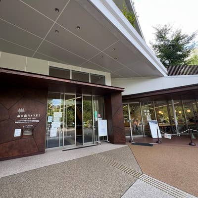 本の森ちゅうおうは12月4日オープン！視察レポ高橋まきこ都議会議員 中央区