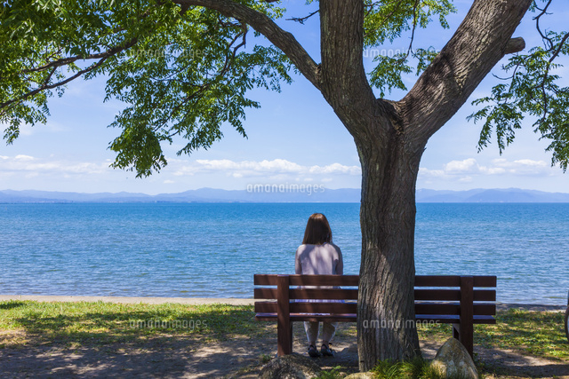 彦根市のinsta映えスポット 『あのベンチ』の住所・駐車場ガイド琵琶湖アウトドアマップ