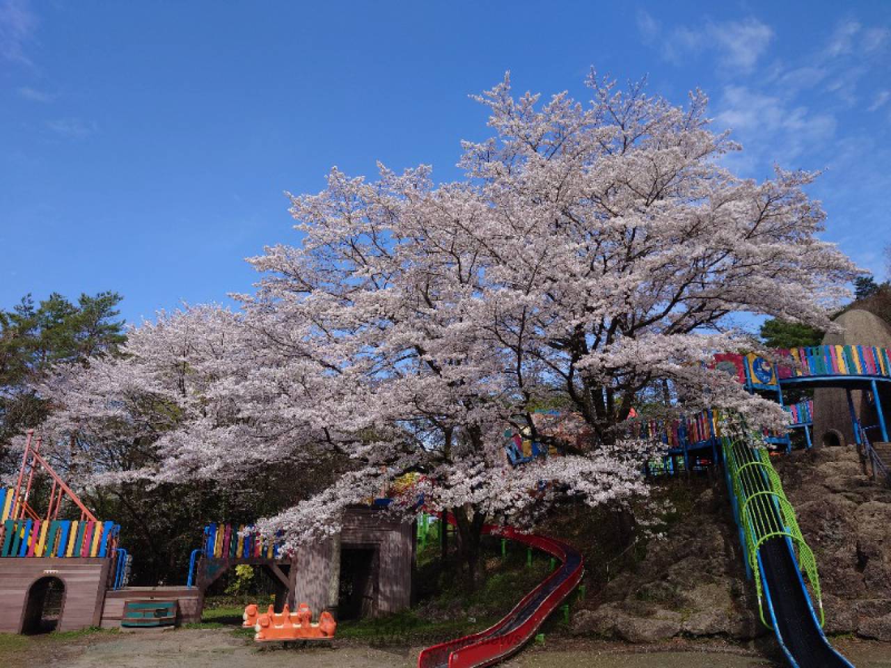 宇都宮市 歴史深い市の中心部に残る自然あふれる公園「八幡山公園」を紹介いたします