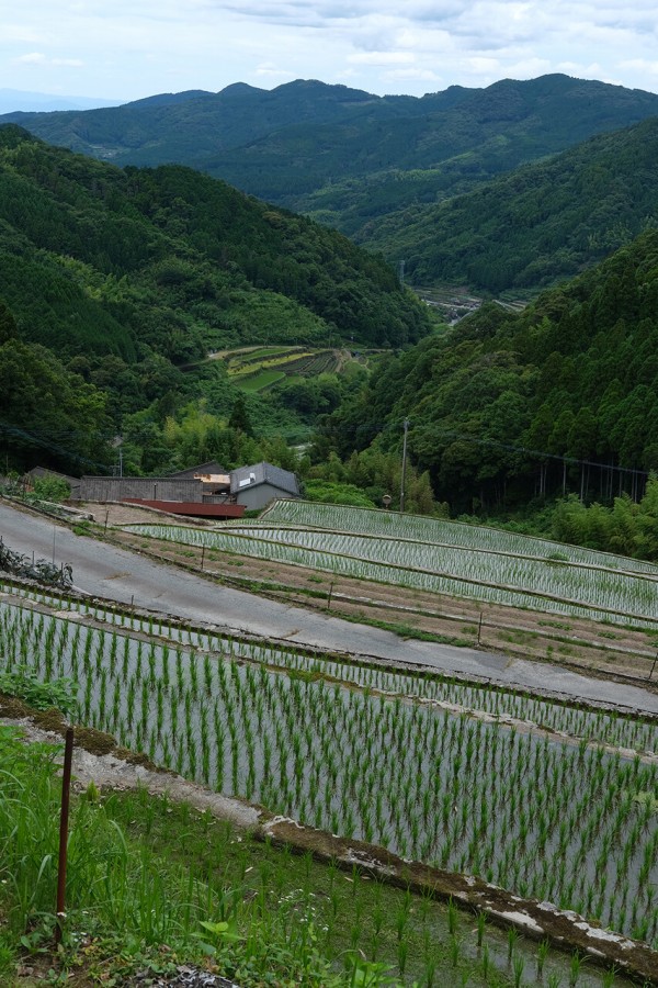 高栄ホーム - 高栄ホーム