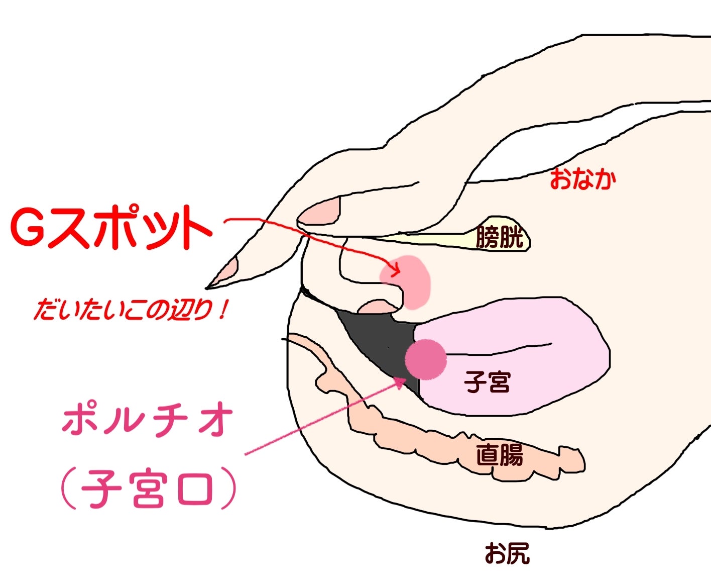 R-18] #140 たいがいしきぽるちおまっさーじ |