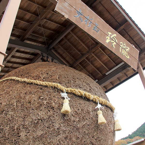 山口・岩国】世界一の杉玉がお迎え！日本酒好きにお薦め！ここだけの酒蔵体験『金冠黒松』 | アクティビティジャパン