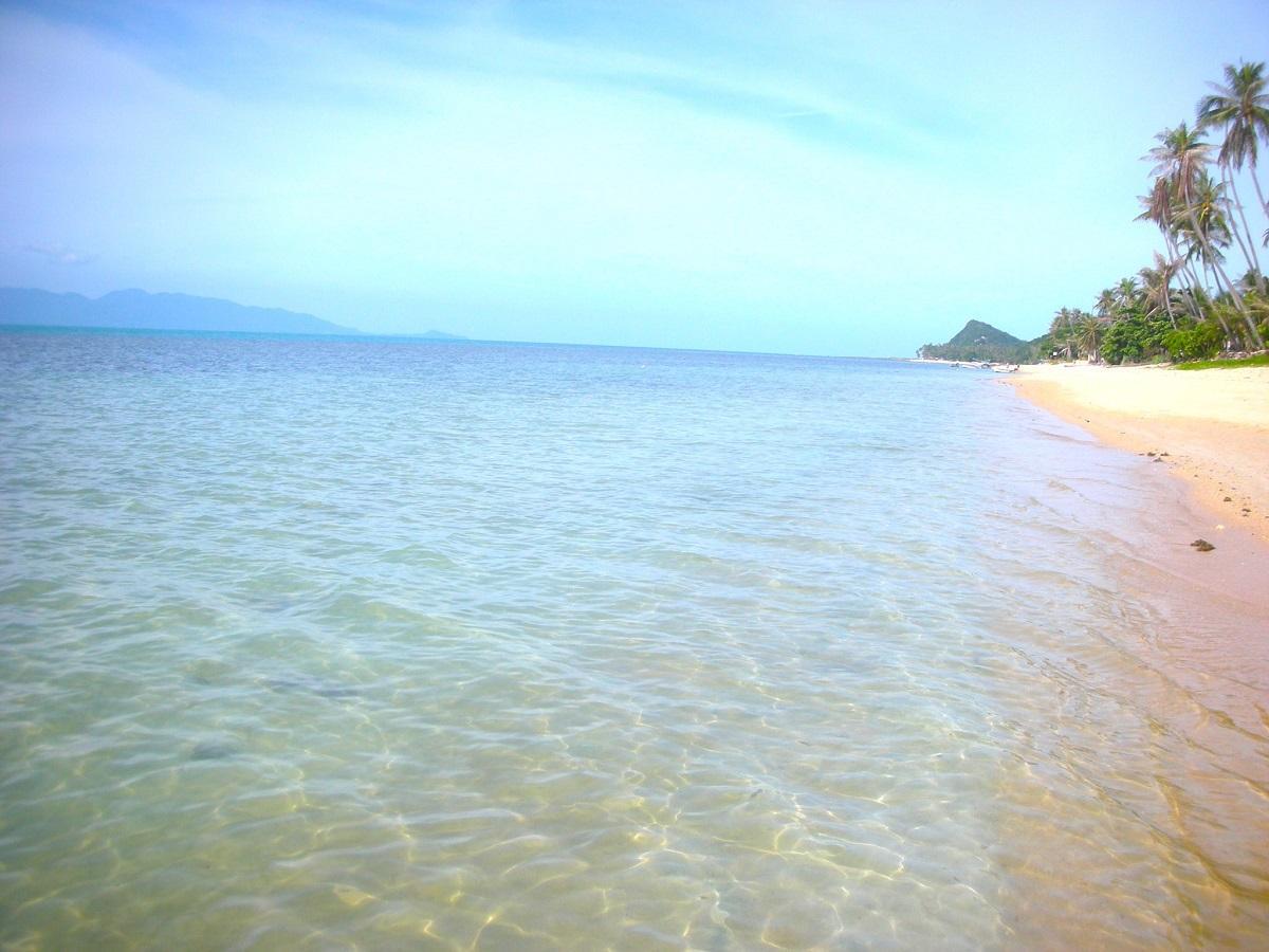 タイ王国比べてみよう！世界の食と文化株式会社 明治 - Meiji