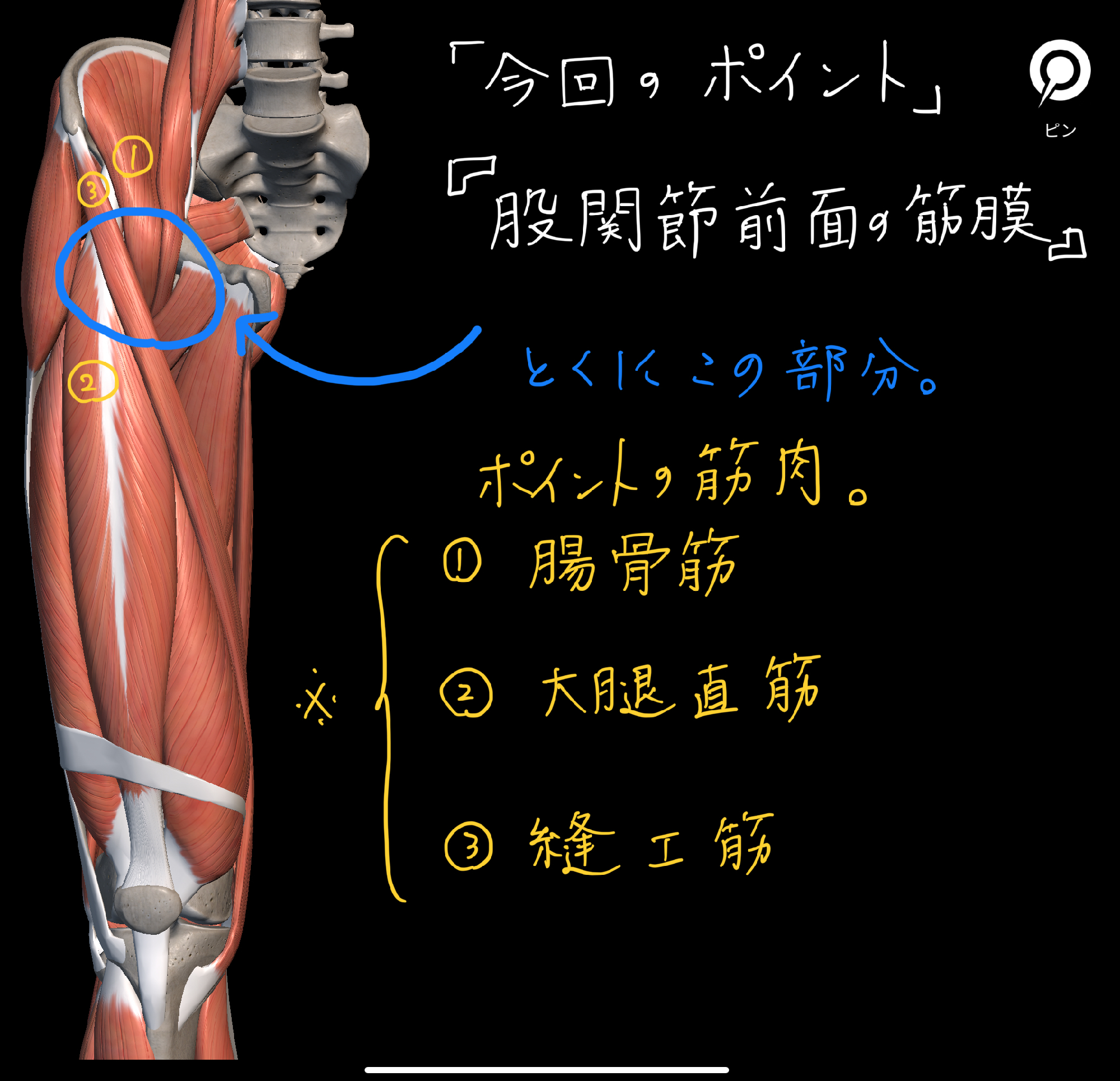 おさえておきたい 腹腔鏡下鼠径部ヘルニア修復術のすべて｜書籍・jmedmook|日本医事新報社